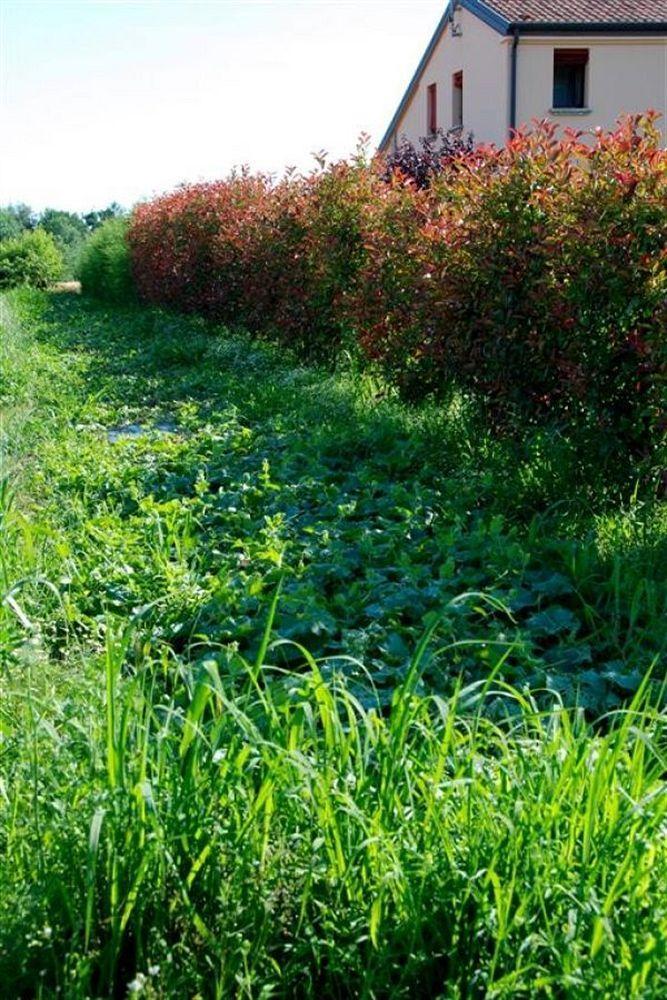 Agriturismo-r&b Corte Dei Gioghi * Ferrara
